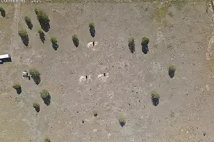 300 S Deer Mountain Rd, Florissant, CO 80816 - Photo 1