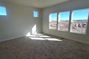 6073 Miller Run Pl, Colorado Springs, CO 80924 - Photo 15