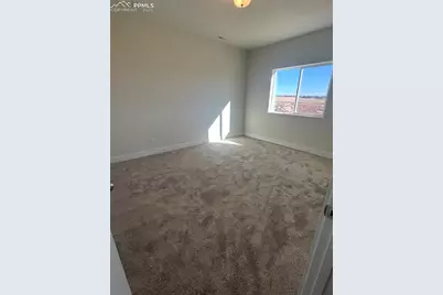 6073 Miller Run Place, Colorado Springs, CO 80924 - Photo 25