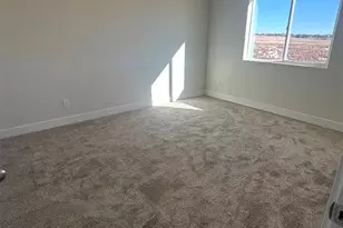 6073 Miller Run Pl, Colorado Springs, CO 80924 - Photo 25