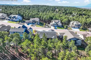 1004 Tree Bark Terrace, Monument, CO 80132 - Photo 43