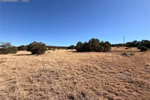 537 Rio Cucharas, Walsenburg, CO 81089 - Photo 1