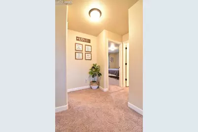 7246 Dutch Loop, Colorado Springs, CO 80925 - Photo 33