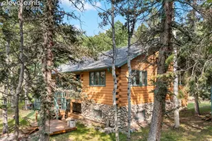 56 Blue Jay Ln, Divide, CO 80814 - Photo 5