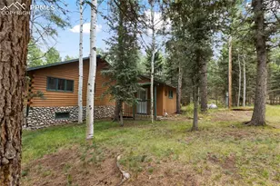 56 Blue Jay Ln, Divide, CO 80814 - Photo 3