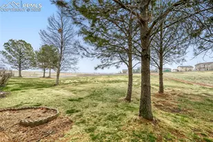 7710 Sandy Springs Point, Fountain, CO 80817 - Photo 23