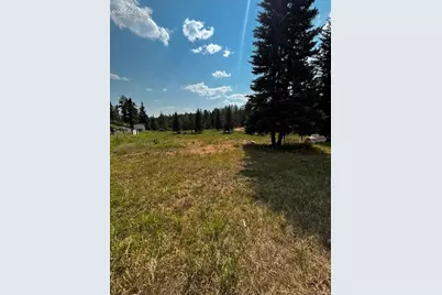 974 W Bison Creek Trail, Divide, CO 80814 - Photo 23