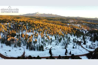 974 W Bison Creek Trail, Divide, CO 80814 - Photo 29