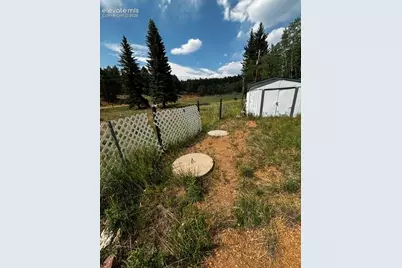974 W Bison Creek Trail, Divide, CO 80814 - Photo 15