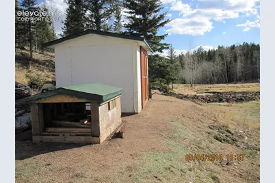 974 W Bison Creek Trail, Divide, CO 80814 - Photo 17