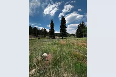 974 W Bison Creek Trail, Divide, CO 80814 - Photo 19