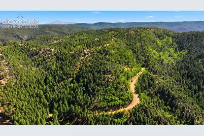 13464 S Firedog Way, Larkspur, CO 80118 - Photo 9