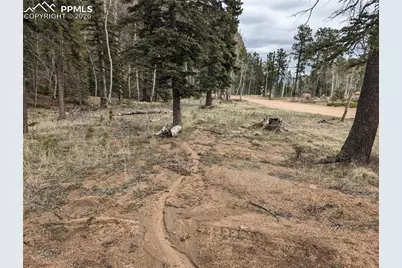 146 Waterfall Loop, Manitou Springs, CO 80829 - Photo 3
