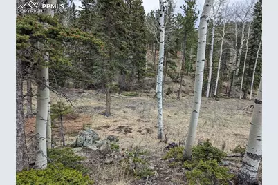 146 Waterfall Loop, Manitou Springs, CO 80829 - Photo 5