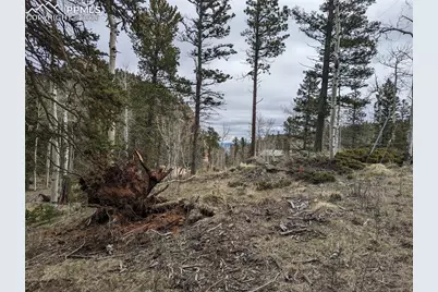 146 Waterfall Loop, Manitou Springs, CO 80829 - Photo 1