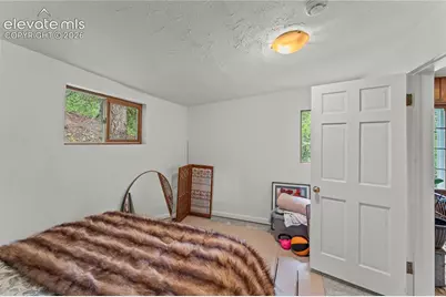 9375 Ute Road, Cascade, CO 80809 - Photo 19