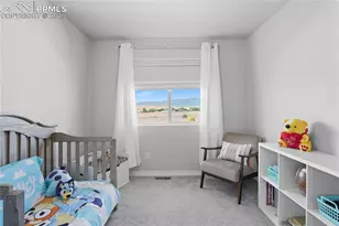 11130 Feliz Wy, Fountain, CO 80817 - Photo 21