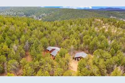 120 Elkhorn Drive, Woodland Park, CO 80863 - Photo 39