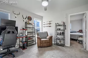 6242 Barr Pt, Colorado Springs, CO 80924 - Photo 15