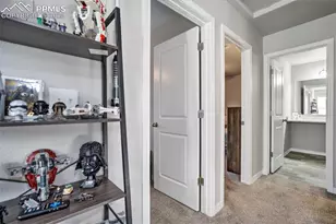 6242 Barr Pt, Colorado Springs, CO 80924 - Photo 21