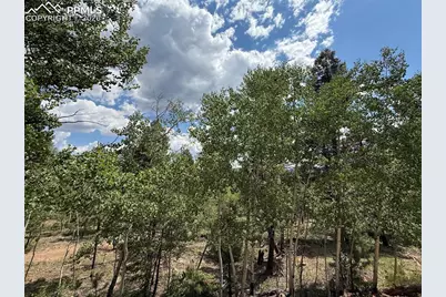 242 Apache Creek Drive, Florissant, CO 80816 - Photo 7