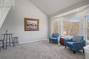261 Pinecrest Way, Palmer Lake, CO 80133 - Photo 5