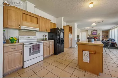 966 County Road 411, Florissant, CO 80816 - Photo 19