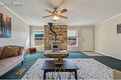 966 County Road 411, Florissant, CO 80816 - Photo 7