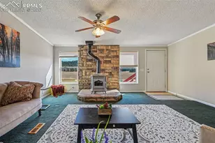 966 Co Rd 411, Florissant, CO 80816 - Photo 7