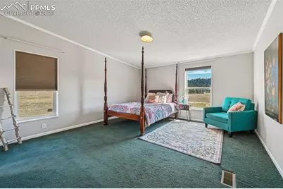 966 County Road 411, Florissant, CO 80816 - Photo 11