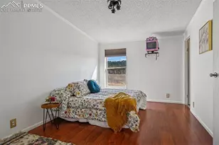 966 Co Rd 411, Florissant, CO 80816 - Photo 29