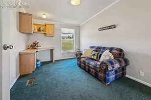 966 Co Rd 411, Florissant, CO 80816 - Photo 9