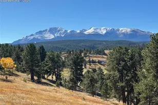 231 S Forty Rd, Woodland Park, CO 80863 - Photo 41