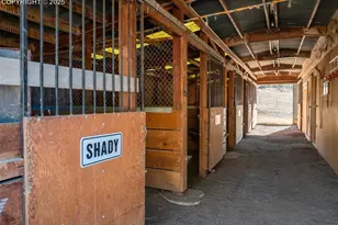 231 S Forty Rd, Woodland Park, CO 80863 - Photo 45