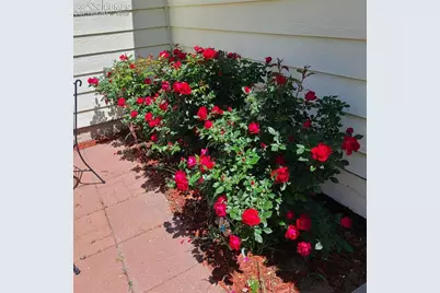 5110 Fennel Drive, Colorado Springs, CO 80911 - Photo 13