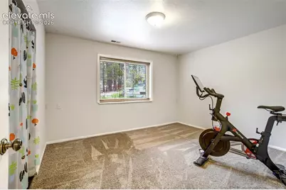 1155 Becky Drive, Colorado Springs, CO 80921 - Photo 41