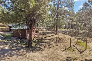 15120 Tanner Trail, Elbert, CO 80106 - Photo 47