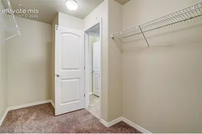 6581 Alliance Loop, Colorado Springs, CO 80925 - Photo 21