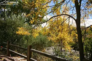 2609 Hatch Cir, Colorado Springs, CO 80918 - Photo 33