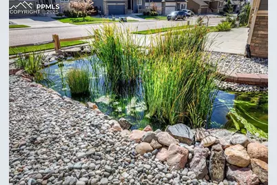 6829 Red Cardinal Loop, Colorado Springs, CO 80908 - Photo 5
