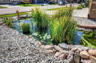 6829 Red Cardinal Loop, Colorado Springs, CO 80908 - Photo 5