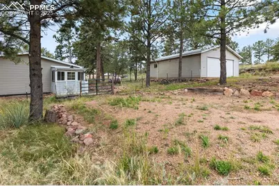 1703 Arapahoe Drive, Florissant, CO 80816 - Photo 9