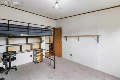 1703 Arapahoe Drive, Florissant, CO 80816 - Photo 25