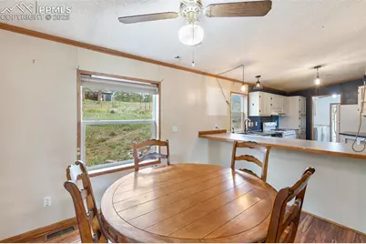 1703 Arapahoe Drive, Florissant, CO 80816 - Photo 15