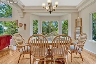 1580 Capadaro Court, Monument, CO 80132 - Photo 9