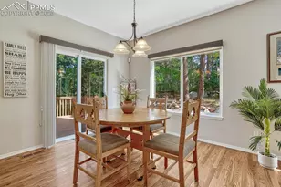 1580 Capadaro Ct, Monument, CO 80132 - Photo 21