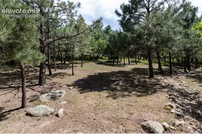 4835 Newstead Place, Colorado Springs, CO 80906 - Photo 43