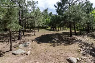4835 Newstead Pl, Colorado Springs, CO 80906 - Photo 43