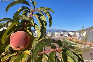 6639 Enclave Vista Loop, Colorado Springs, CO 80924 - Photo 47