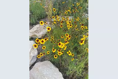 6639 Enclave Vista Loop, Colorado Springs, CO 80924 - Photo 45